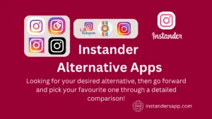 Instander Developer Options 4