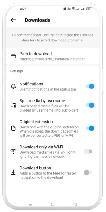 Downloads feature options in Instander settings